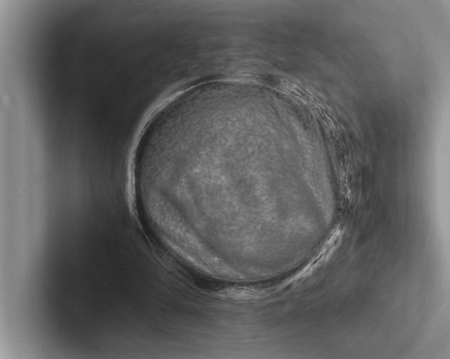 X0000103250294200809111621