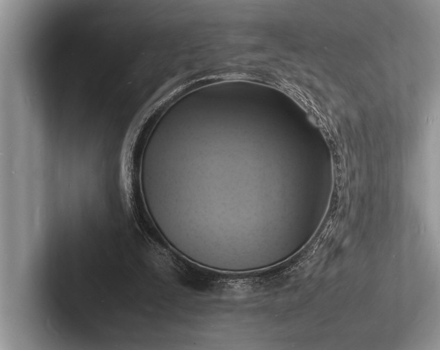 X0000103250295200809111621