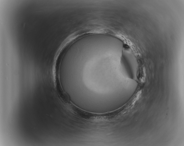 X0000103250296200809111621