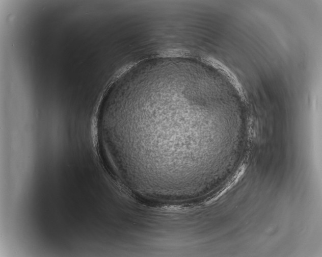 X0000103250298200809111621