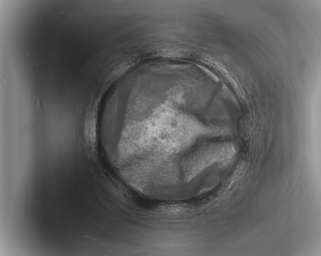 X0000103250299200809111621