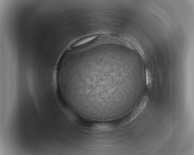 X0000103250300200809111621