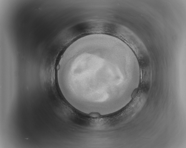 X0000103250301200809111621