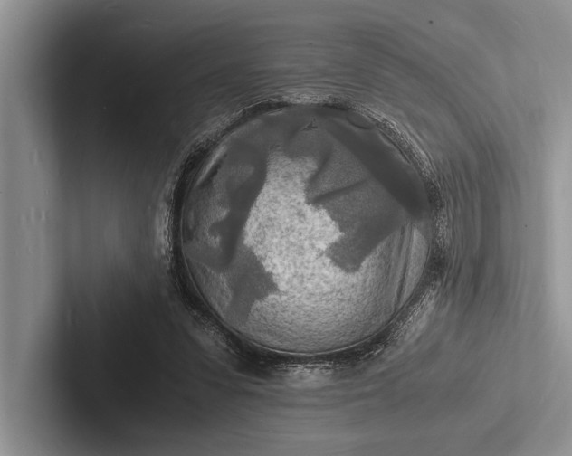 X0000103250303200809111621