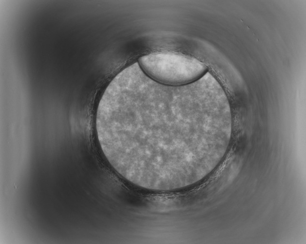 X0000103250305200809111621