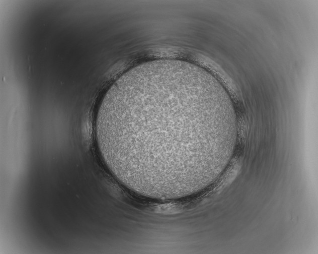 X0000103250309200809111620
