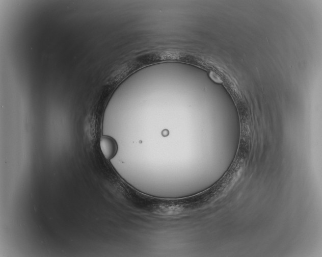 X0000103250311200809111620