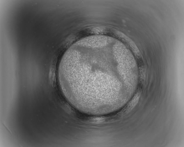 X0000103250313200809111620