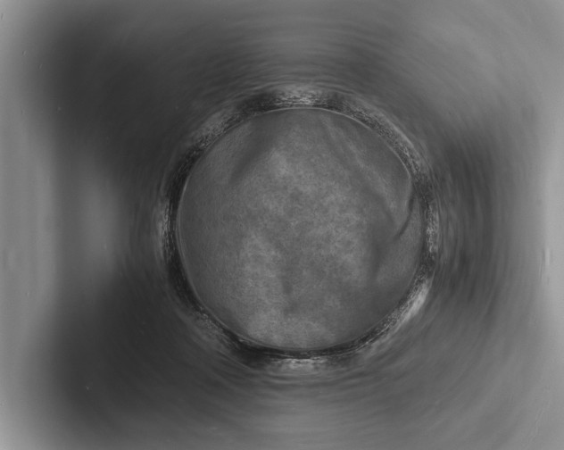X0000103250314200809111620