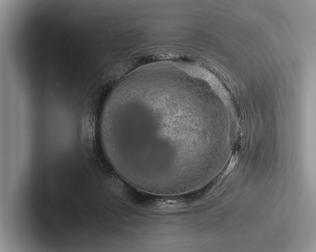 X0000103250315200809111620
