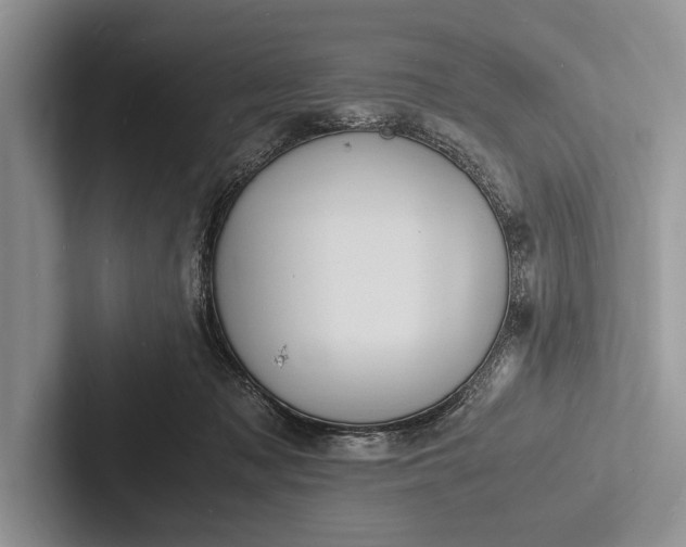 X0000103250317200809111620