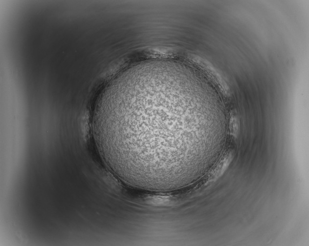 X0000103250318200809111620