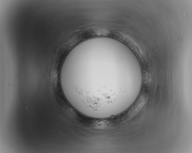 X0000103250321200809111620