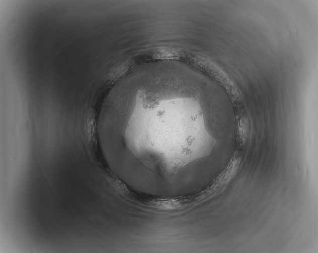 X0000103250322200809111620