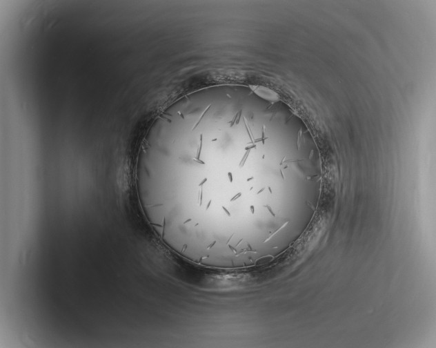 X0000103250323200809111620