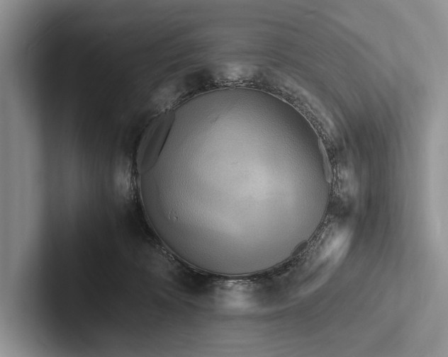 X0000103250324200809111620