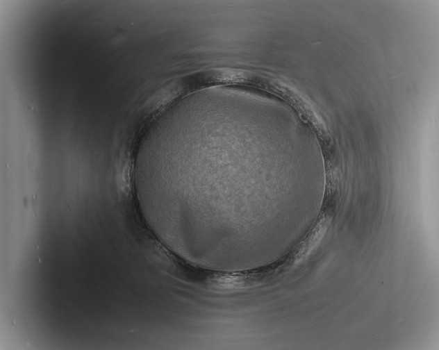 X0000103250325200809111620