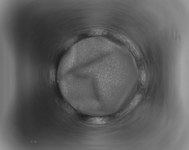 X0000103250326200809111620
