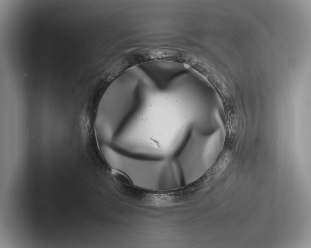 X0000103250327200809111620