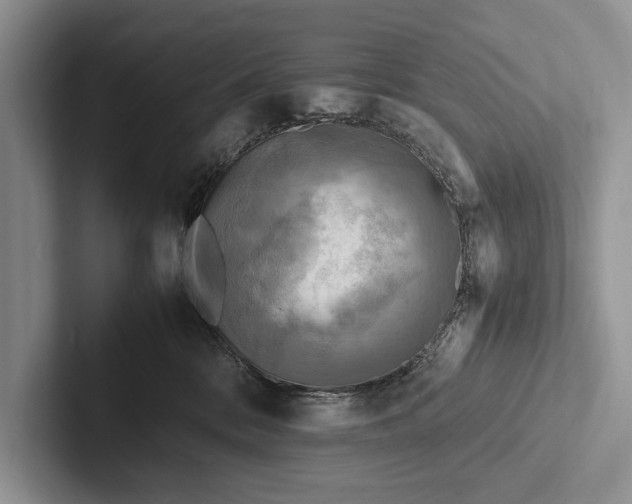 X0000103250328200809111620