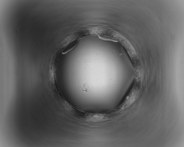 X0000103250329200809111620