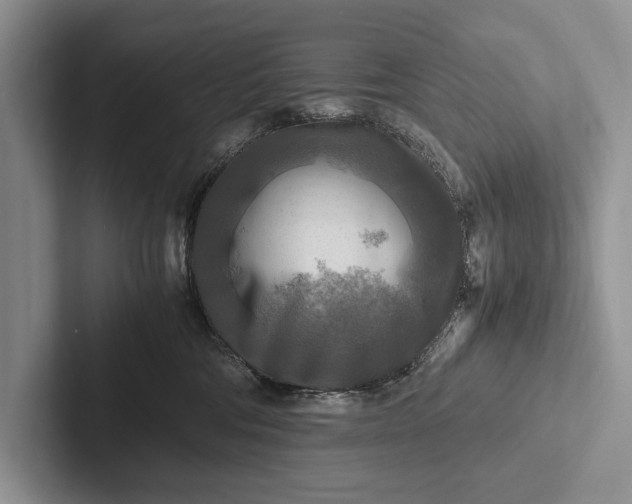 X0000103250330200809111620