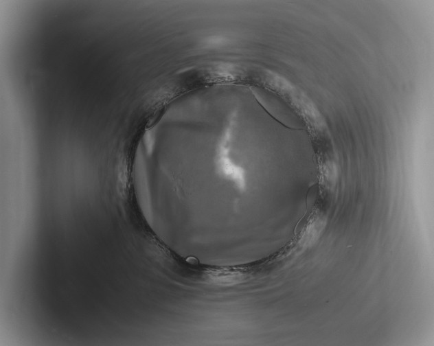 X0000103250331200809111620