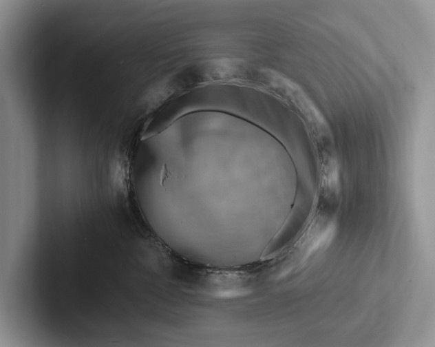 X0000103250332200809111620