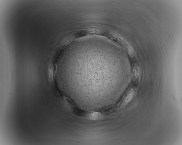 X0000103250333200809111620