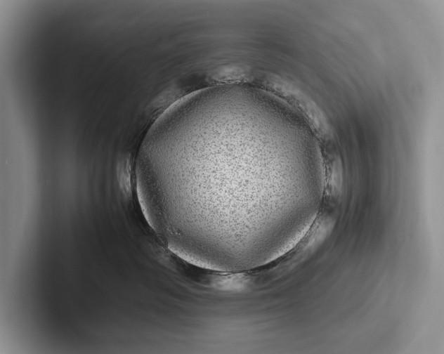 X0000103250334200809111620