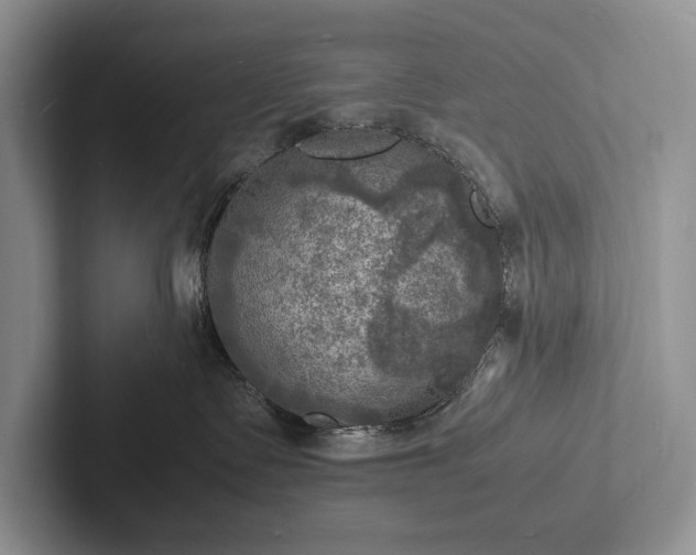 X0000103250335200809111620