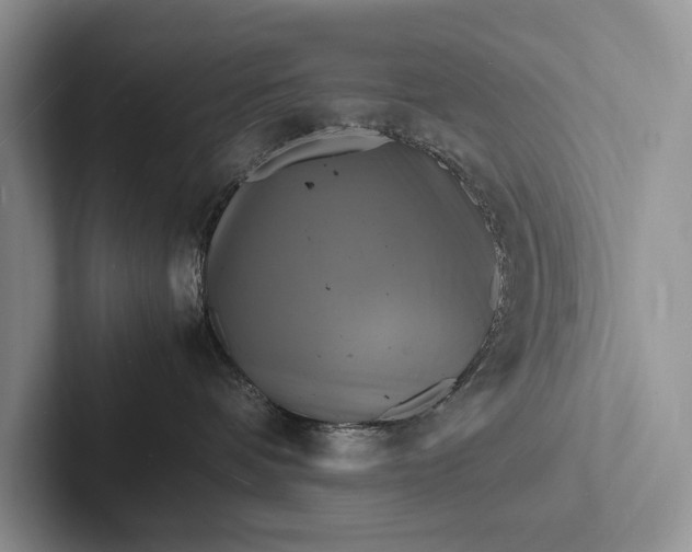 X0000103250336200809111620