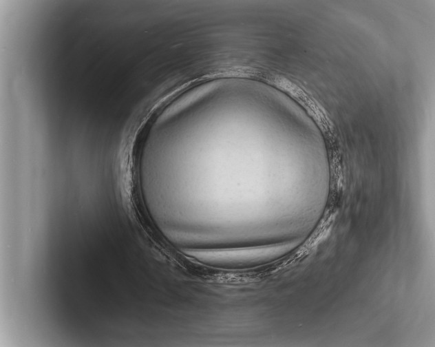 X0000103250338200809111620