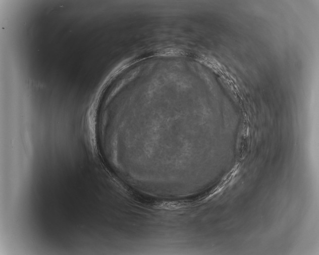 X0000103250341200809111620
