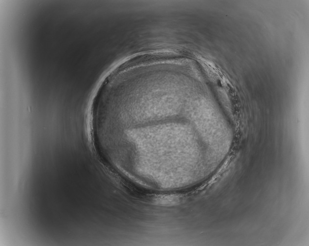 X0000103250342200809111620