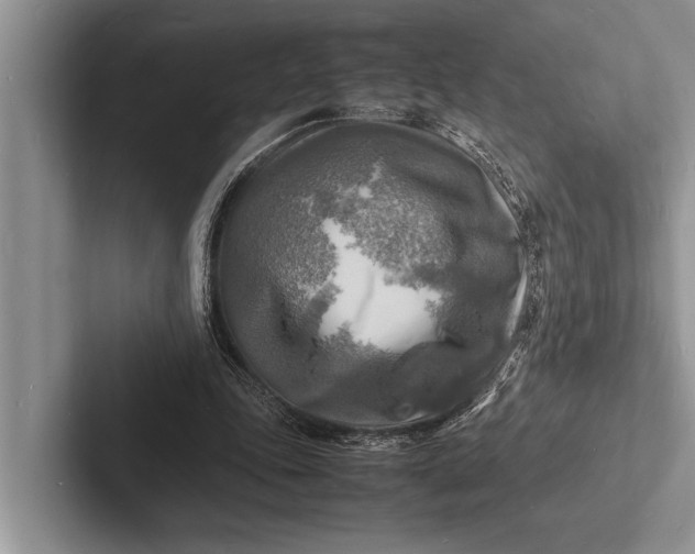X0000103250343200809111620