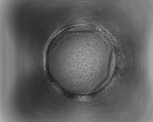 X0000103250344200809111620