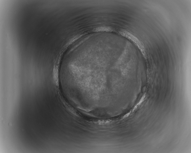 X0000103250345200809111620