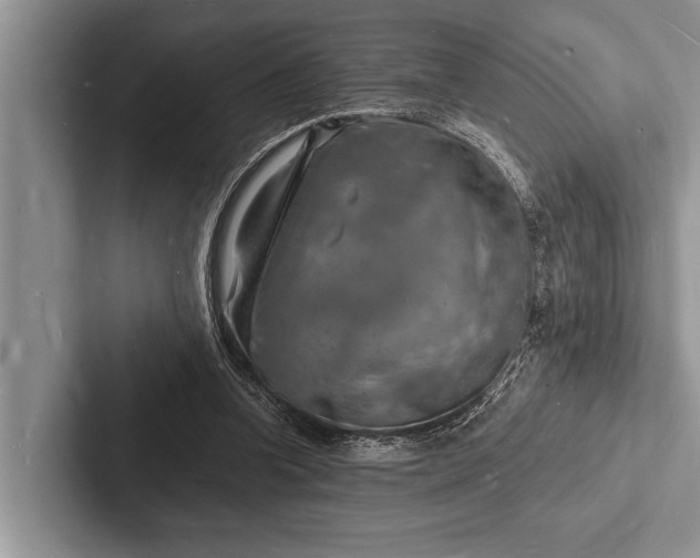 X0000103250346200809111620