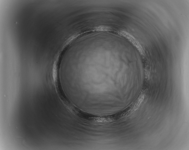 X0000103250347200809111620