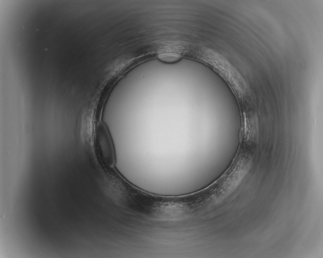 X0000103250348200809111620