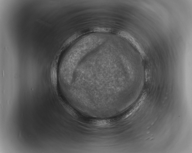 X0000103250349200809111620