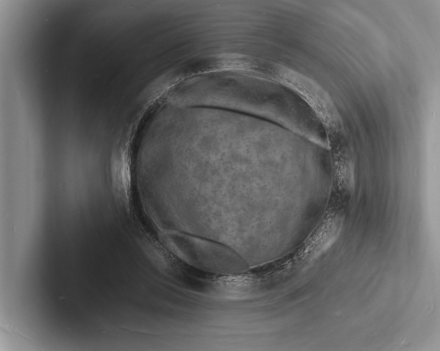 X0000103250350200809111620