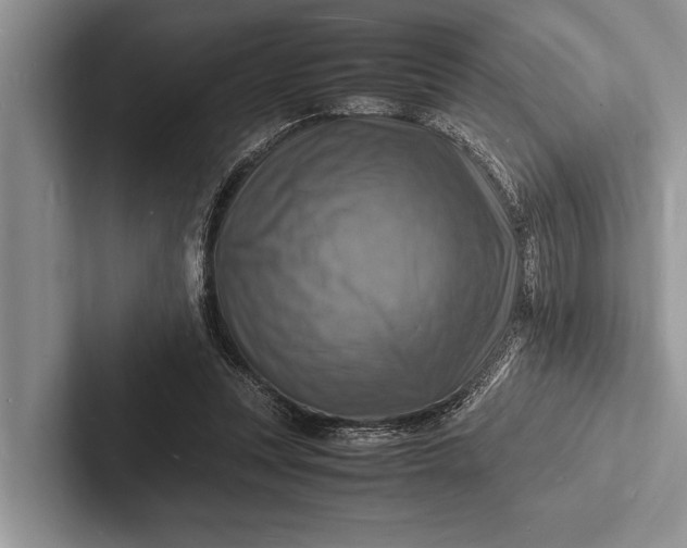 X0000103250351200809111620