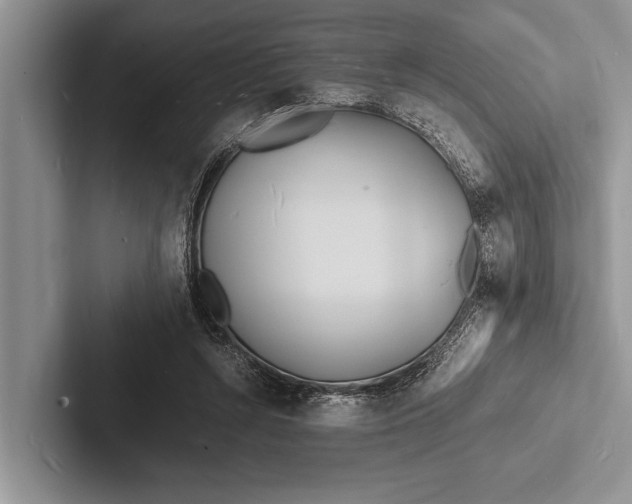X0000103250352200809111620