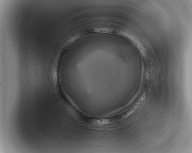 X0000103250353200809111620