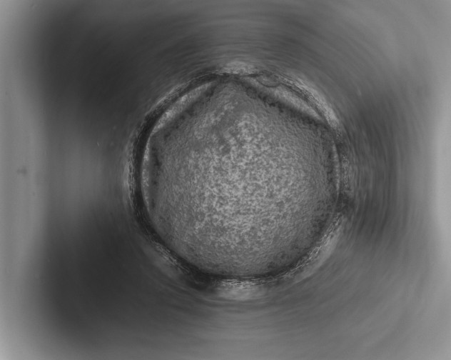 X0000103250354200809111620