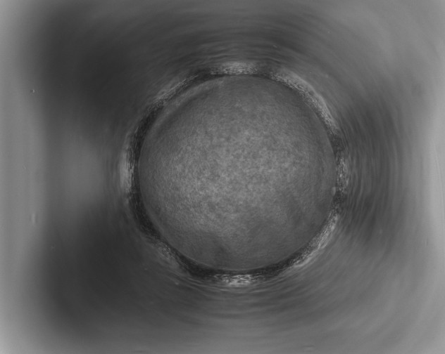X0000103250355200809111620