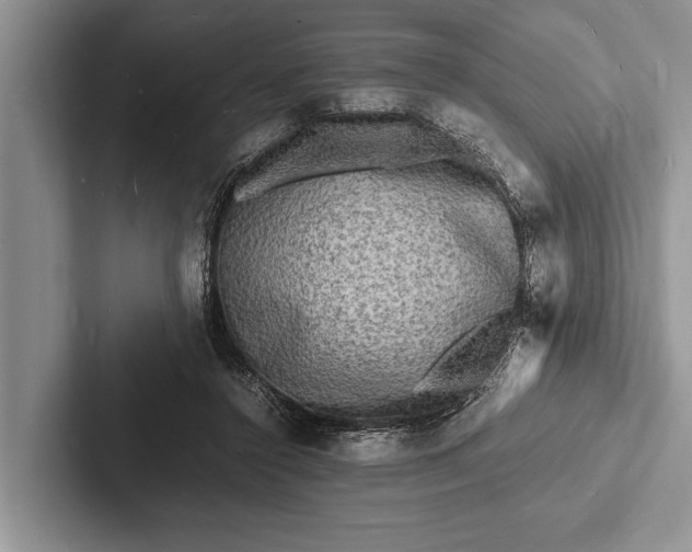 X0000103250356200809111620