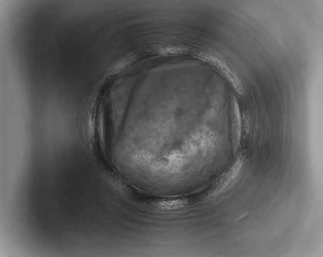 X0000103250357200809111620